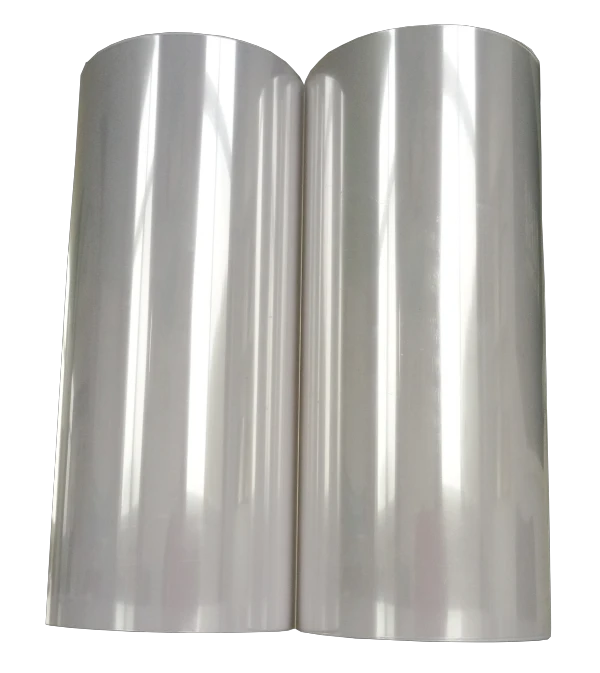 polyester film3